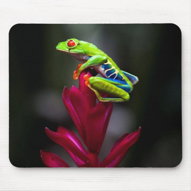 Rotaugelaubfrosch Mousepad (Vorne)