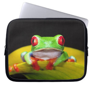 Rotaugen-Laubfrosch, Agalychinis callidryas, Einhe Laptopschutzhülle