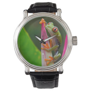 Rotaugen-Laubfrosch, Costa Rica Armbanduhr