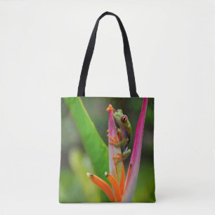 Rotaugen-Laubfrosch, Costa Rica Tasche