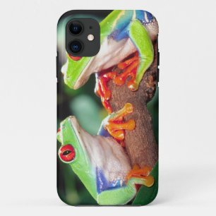 Rotaugen-Laubfrosch-Paar, Agalychinis callidryas, Case-Mate iPhone Hülle