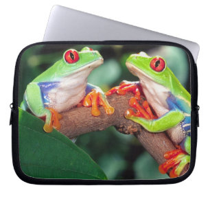 Rotaugen-Laubfrosch-Paar, Agalychinis callidryas, Laptopschutzhülle