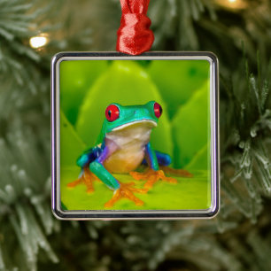 Rotaugenklaubfrosch, Costa Rica Ornament Aus Metall