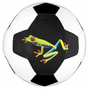 Rotäugiger Gemalter Laubfrosch Fußball