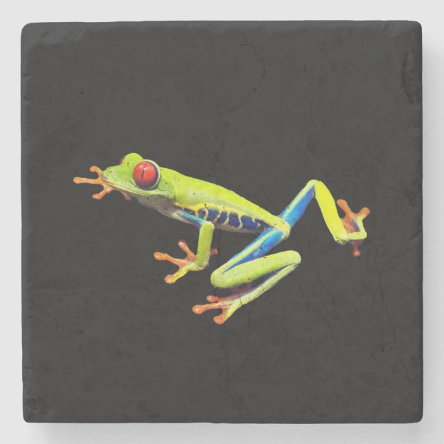Rotäugiger Gemalter Laubfrosch  Steinuntersetzer (Vorderseite)