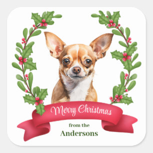 Rotbanner-Holly-Braun-Chihuahua-Hund-Weihnachten Quadratischer Aufkleber