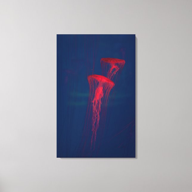 Rotbarsch Leinwanddruck (Vorderseite)