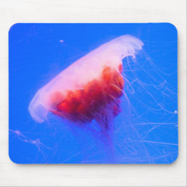 Rotbarsch Mousepad