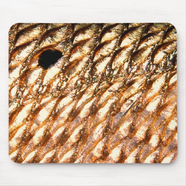 "Rotbarsch-" - rote Trommel durch PatternWear© Mousepad (Vorne)