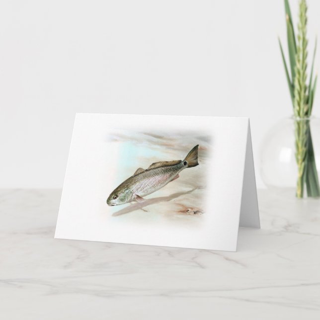 Rotbarsche Kunst Karte (Vorderseite)