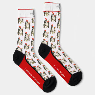 Rotbauch-Specht-Socken Socken