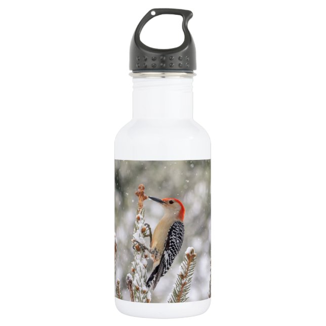 Rotbauchspecht im Schnee Trinkflasche (Vorderseite)
