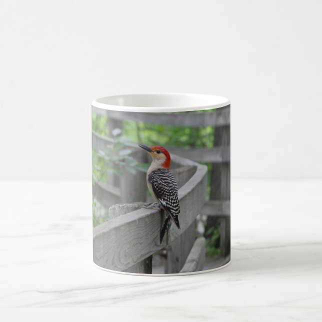 Rotbauchspecht-Tasse Kaffeetasse (Mittel)