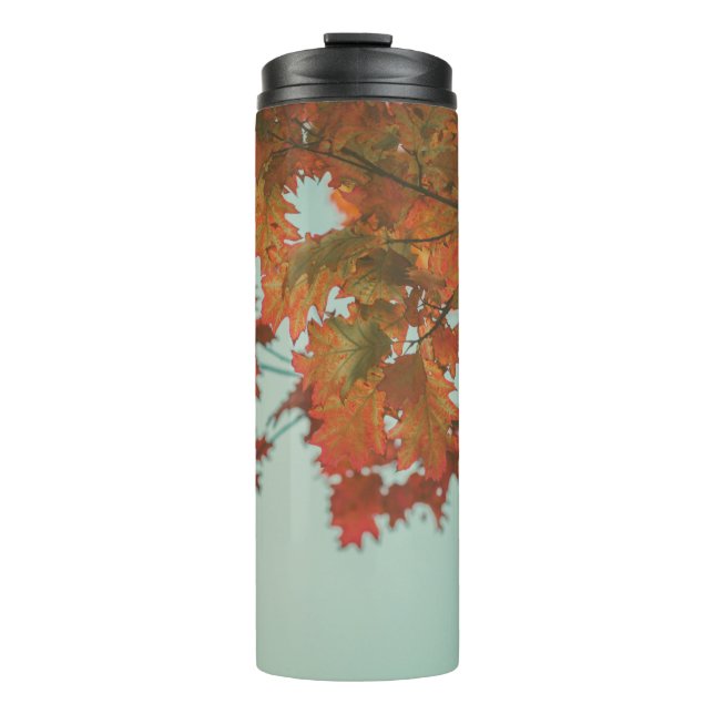 ROTBELaubter Baum Thermosbecher (Vorderseite)