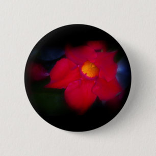 Rotblütenschweine Button
