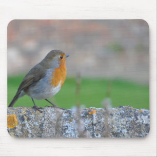 Rotbrüstiger Flycatcher Mousepad