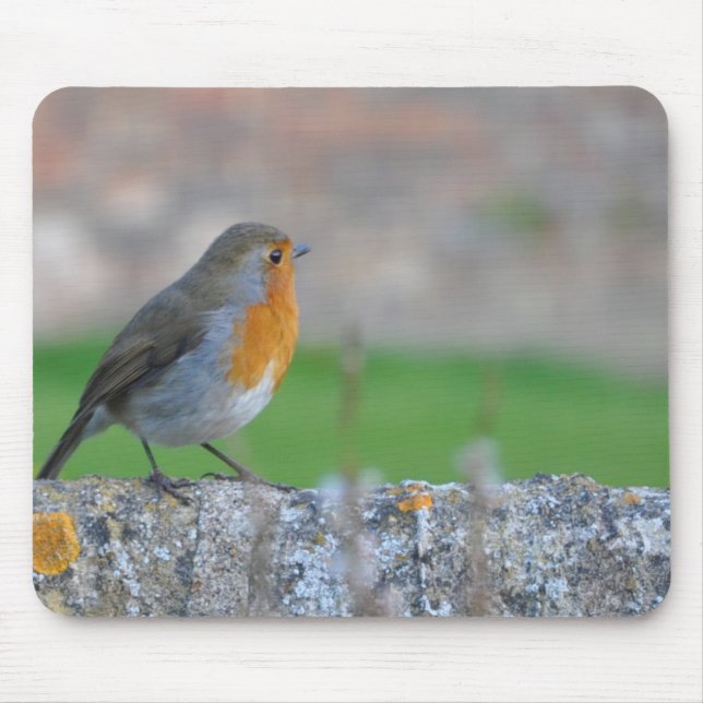 Rotbrüstiger Flycatcher Mousepad (Vorne)