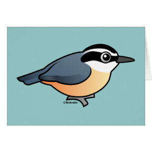 Rotbrüstiger Kleiber