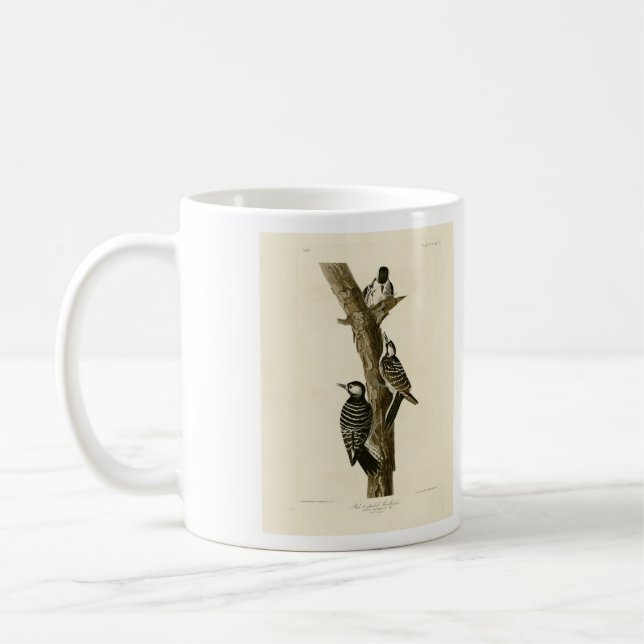 Rotcockaded Woodpecker Audubons Vögel von Amerika Kaffeetasse (Links)
