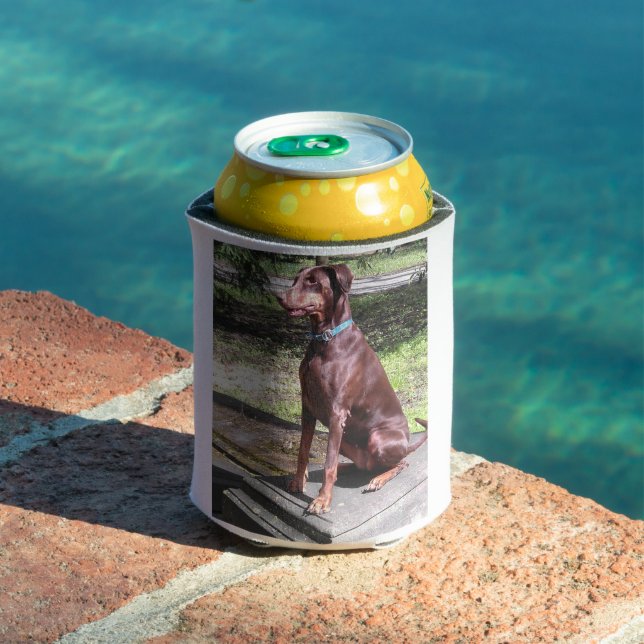 Rotdoberman Dosenkühler (In Situ Pool)