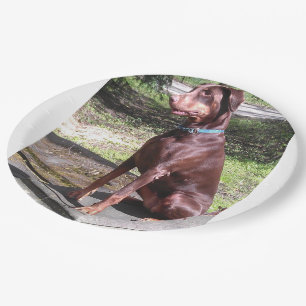 Rotdoberman Pappteller