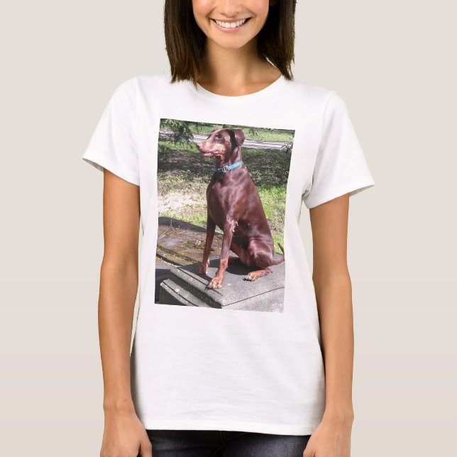 Rotdoberman T-Shirt (Vorderseite)
