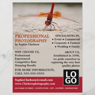 Rotdrachenfliege, Fotografie, Fotograf - Verleih Flyer