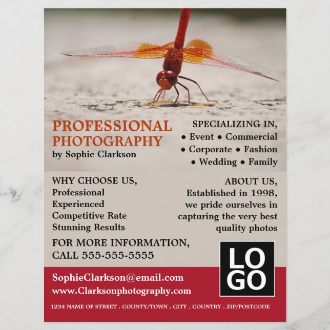 Rotdrachenfliege, Fotografie, Fotograf - Verleih Flyer (Vorne)