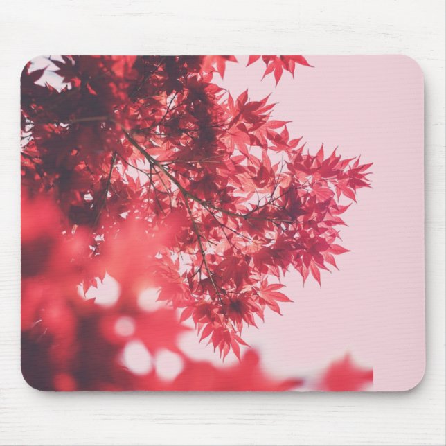 Rote Ahornblätter auf Rosa Mousepad (Vorne)