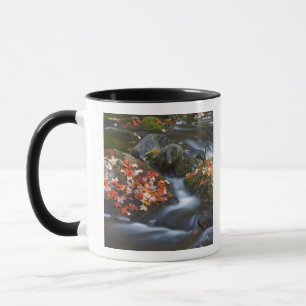 Rote Ahornblätter bedecken die Felsen in der Tasse