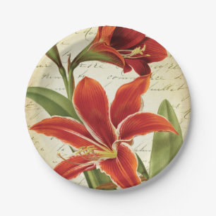 Rote Amaryllis-WeihnachtsBlume botanisch Pappteller