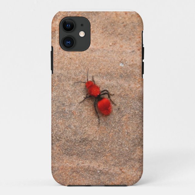 Rote Ameisenwespentelefon Case-Mate iPhone Hülle (Rückseite)