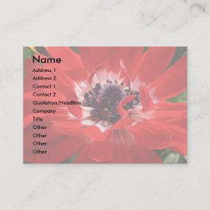 Rote Anemonen-Visitenkarte Visitenkarte