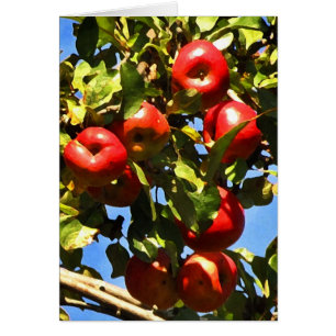 Rote Äpfel
