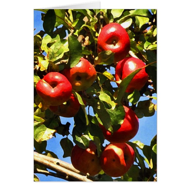 Rote Äpfel (Vorne)