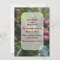 Rote Äpfel am Baum Hochzeit Save The Date