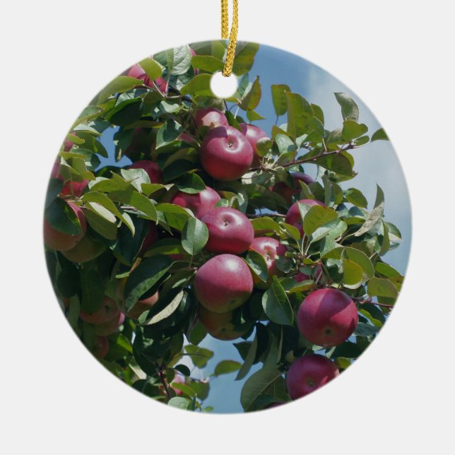 Rote Äpfel auf Baum-Natur-Verzierung Keramikornament (Vorne)