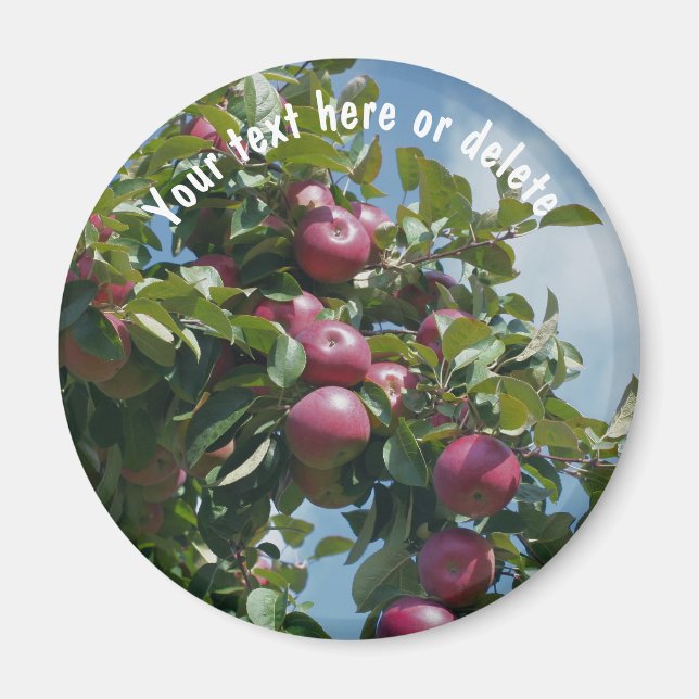 Rote Äpfel auf Baumart Personalisiert Magnet (Vorne)