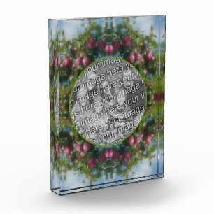 Rote Äpfel auf Baumkronenrahmen hinzufügen Fotoblock