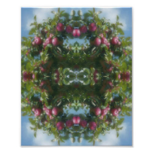 Rote Äpfel auf Baummalerei Abstrakt 8x10 Fotodruck