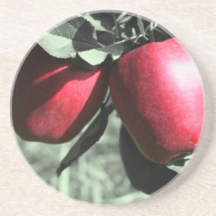 Rote Äpfel auf dem Untersetzer Baumart