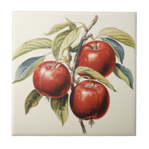 Rote Äpfel Fliese
