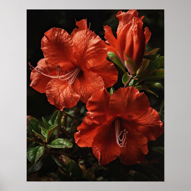 Rote Azalea Blume Art Print Poster (Vorne)