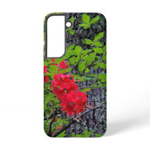 Rote Azalea Blume
