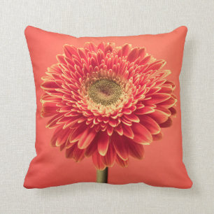 Rote Barberton Gerbera-Gänseblümchen-Blume Kissen