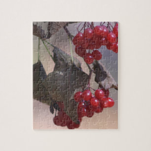 Rote Beeren