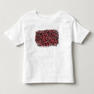 Rote Beeren des Himalaja Kleinkind T-shirt