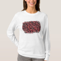 Rote Beeren des Himalaja
