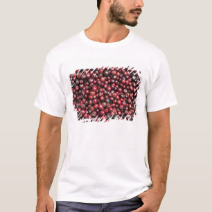 Rote Beeren des Himalaja T-Shirt