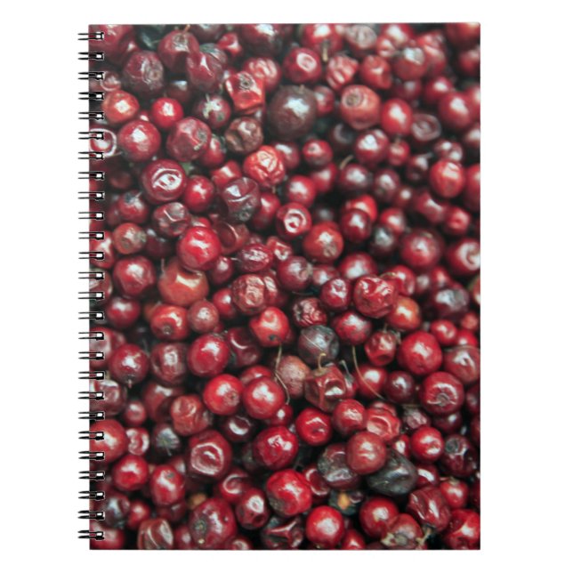 Rote Beeren des Himalaya Notizblock (Vorderseite)